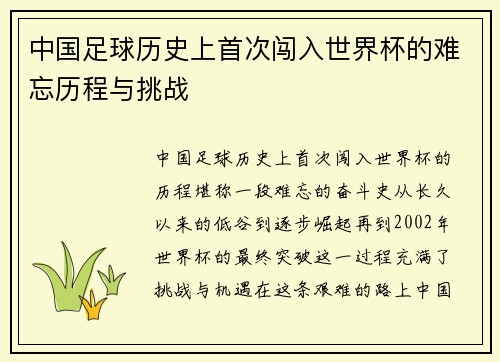 中国足球历史上首次闯入世界杯的难忘历程与挑战
