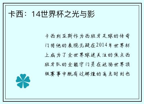卡西：14世界杯之光与影